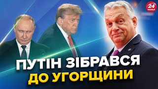 Орбан ГОТУЄ зустріч Трампа і Путіна в Угорщині. Венс ПРИГОЛОМШИВ заявою про війну в Україні!