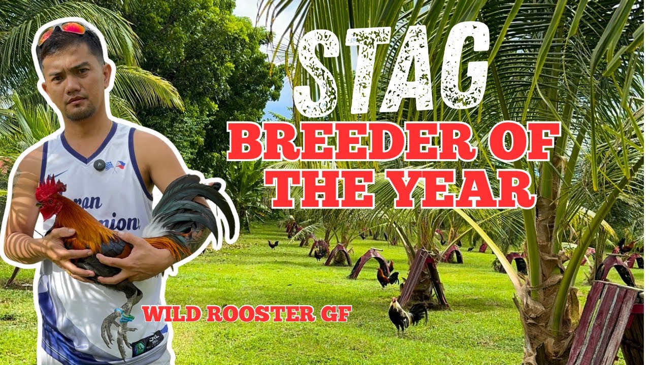 Ayaw sa Unli-Feet Ratatat | Art Biñalet