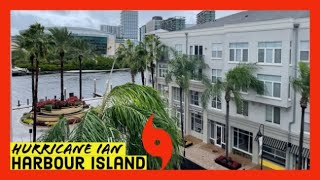 Hurricane Ian Live Stream Downtown Tampa