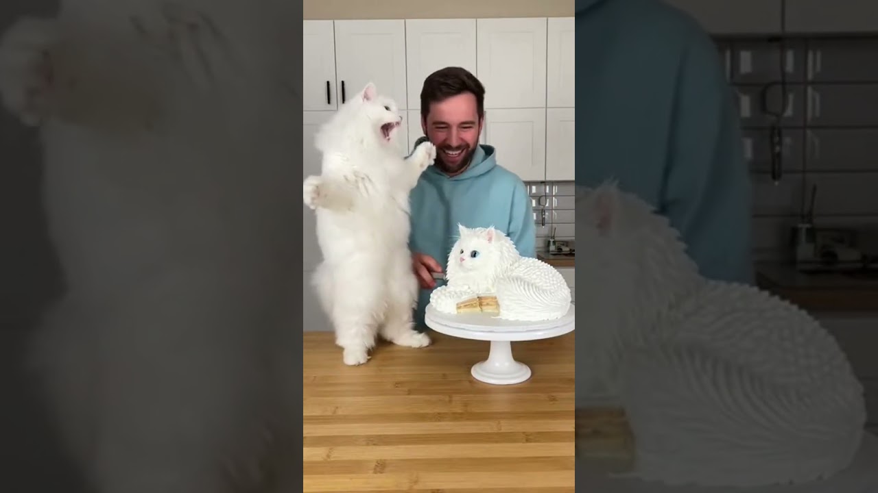 White Angora Cat Shocked by Her Cake Twin! 😳🤍🐱🍰 