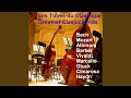 Capture de la vidéo Ouverture No. 3 In D Major, Bwv 1068: Ii. Air