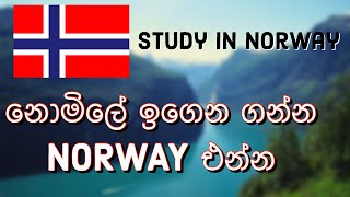 Norway Student Visa | Free Education in Norway | Student visa Process Sinhala | Study in Norway Free