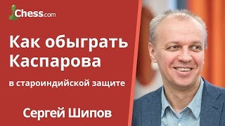 Как обыграть Гарри Каспарова в староиндийской защите: ноу-хау от гроссмейстера Сергея Шипова Как обыграть Гарри Каспарова в староиндийской защите: ноу-хау от гроссмейстера Сергея Шипова