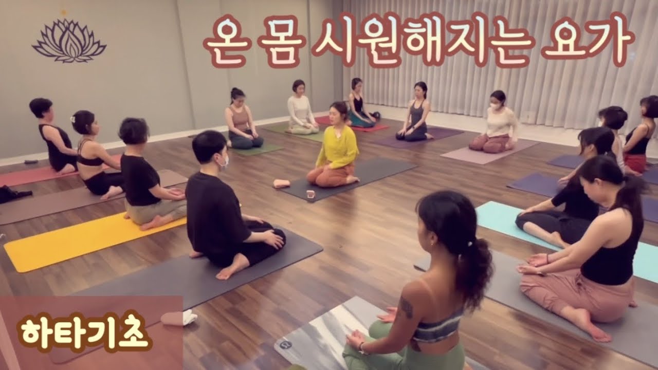 [엔젤요가] 하타기초 | 온 몸 구석구석 시원해지는 요가 | 요가수업영상 | 홈요가 | 요가맛집 | 인천하타요가