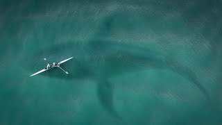 1 hour of Deep blue Sea music | Calm, Relax and Peach sound screenshot 2