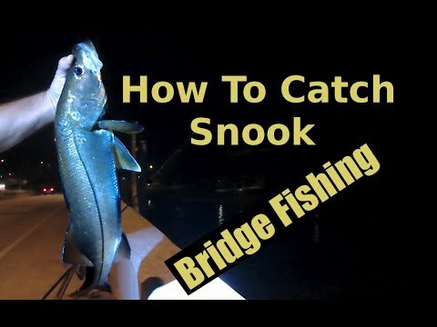 Night Bridge Fishing With Shrimp Catching Snook  On Jigs