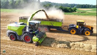Download Lagu Chopping Wheat Straw with a NEW Claas Jaguar 1200 Forage Harvester | Zimmerman Family Harvesting MP3