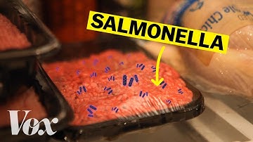 How salmonella-tainted food gets in your fridge