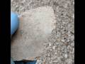 Archaic Hand Axe/chopper #shorts #ancientsignsoflife #artifacts #arrowheads #rocks #1m