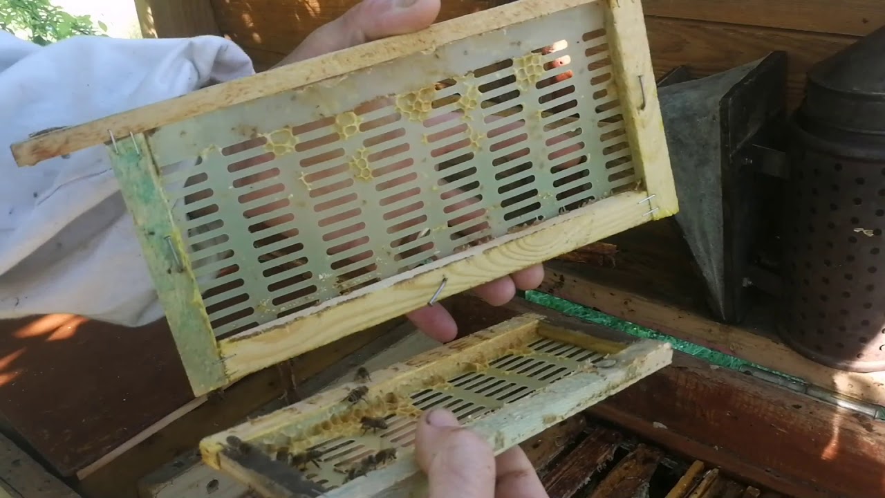 Mój sposób na IZOLATOR dla matki pszczelej 05.07.2020