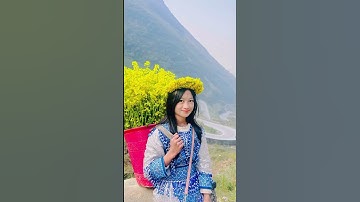 Dốc thẩm mã hà Giang em gái người dân tộc H, Mông xinh gái quá 😊