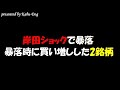 岸田ショックで日経平均株価は大暴落！この暴落時に買い増しした株！期待の注目2銘柄