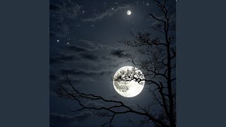 Download lagu Gentle Moonlight