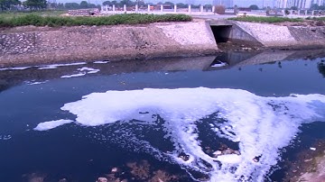 Phóng Sự Ô Nhiễm Môi Trường: Báo Động Ô Nhiễm Mặt Nước Hiện Nay