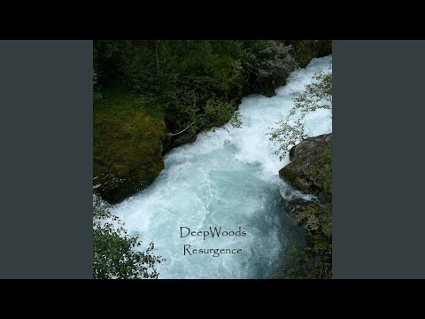 DeepWoods — A Farewell (Dave Wesley Remix)