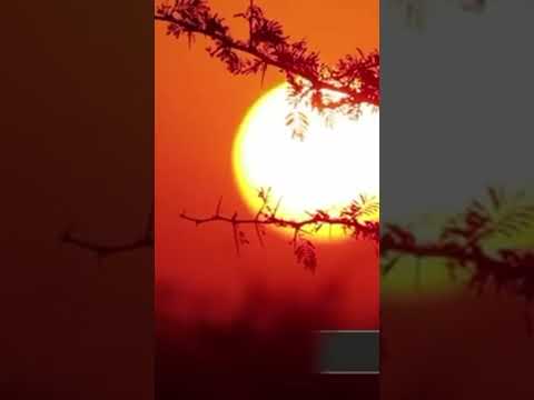 ٥ أكتوبر ٢٠٢٥