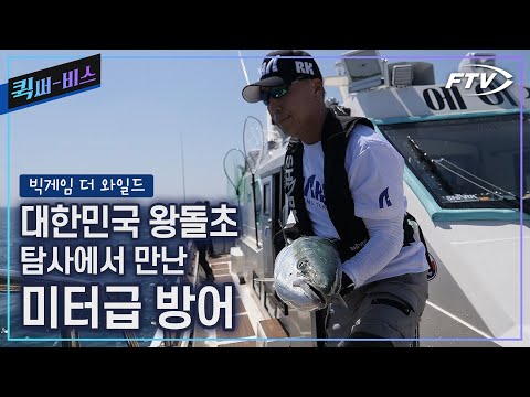 [Full/퀵써-비스]왕돌초, 여름 빅게임 그 두번째 이야기[빅게임 더 와일드/54회]