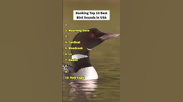 Thumbnail of Ranking top 10 best bird sounds in USA #birds #birdsounds