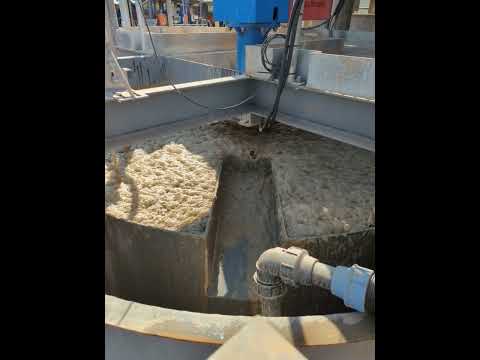 Spodumene Float 1
