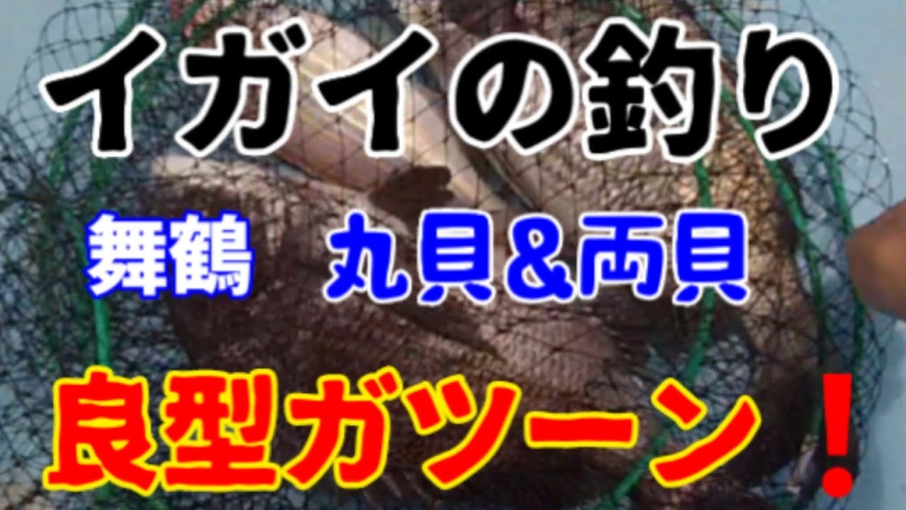 【チヌかかり釣り🎣】2022年7月京都府舞鶴湾千歳 リハビリ釣行と言えど、今年初の良型イガイチヌに酔いしれた❗