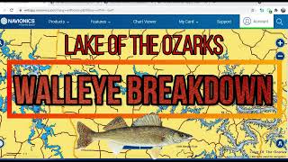 WALLEYE BREAKDOWN | Lake of the Ozarks