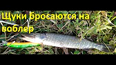 Рыбалка Наше Всё