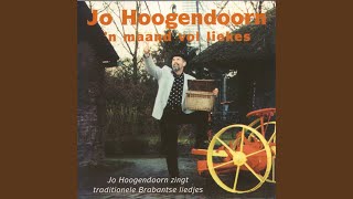 Video thumbnail of "Jo Hoogendoorn - De Man Kwam Thuis"