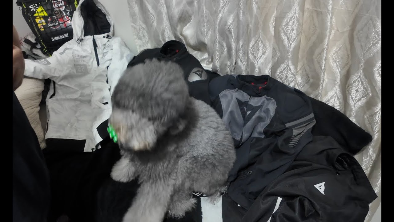 I Tested the BEST Motorcycle Jackets — RIDERICH vs DAINESE (Ultimate Comparison!) 🧥⚡️