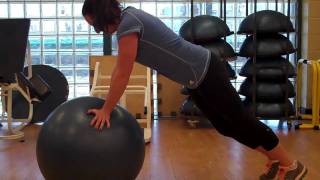 Rick My Trainer - High Plank on Stability Ball w/ Modification Option