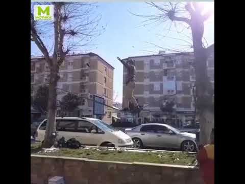 motika9