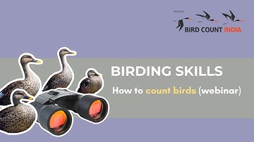 How to Count Birds in Big Flocks
