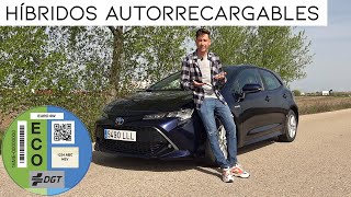 Te contamos todas las CLAVES del coche HÍBRIDO HEV / #LoadingCars