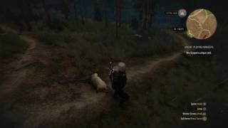 The Witcher 3 Unlimited sheep glitch.