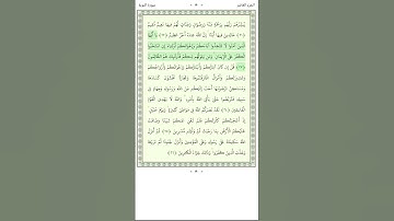 سورة التوبة At Tawba 23