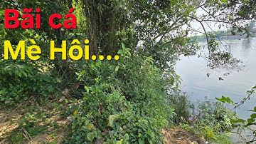 Câu cá sông Đồng Nai  Bãi  cá mè Hôi  nhiều nhất ...