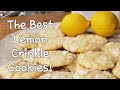 Life gives you Lemons!Go Fishing 🎣 Make awesome Cookies!