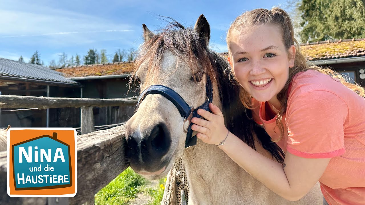 Welsh Pony | Information für Kinder | Nina und die Haustiere