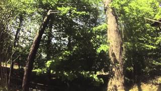 Celebrity Targeted Vertical Speedline: TreeStuff.com Tech Tip Net Worth