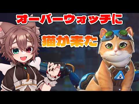 猫強化ときいて・・・即弱体化！？【#OW #Vtuber #overwatch 】