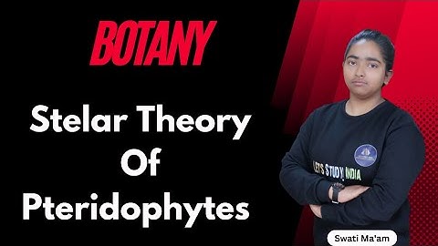 Stelar Theory Of Pteridophytes | B.Sc. Botany 2nd Semester | Swati Ma