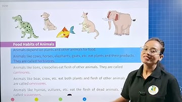 Intello EVS 3 Chapter 4 Our Friends - Animals