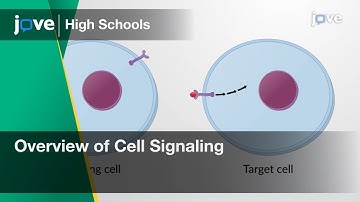 Overview of Cell Signaling | Cell Bio | Video Textbooks - Preview
