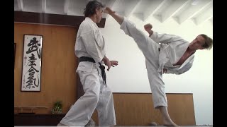 Zen Karate -  Rick Hotton