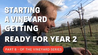 Starting a Vineyard PART8  Getting ready for Year 2 in Spring Time