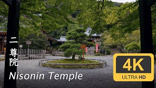 Nisonin Temple - Kyoto - 二尊院