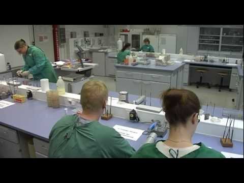 Medizinisch Technische R Laboratoriumsassistent In Mtal Youtube