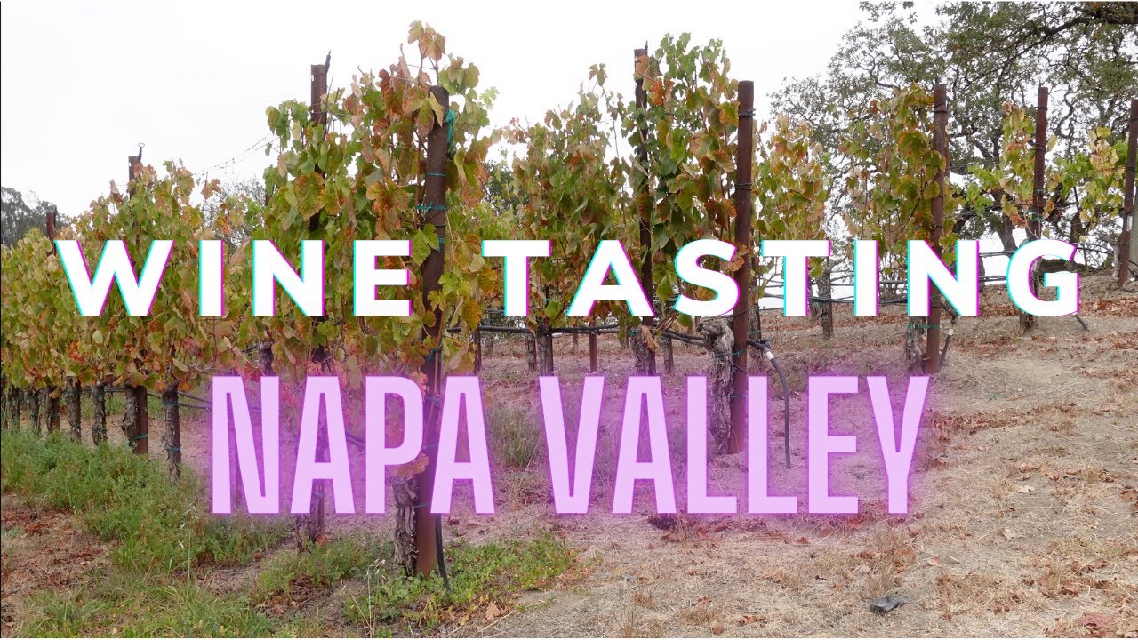Wine Tasting in Napa Valley & Sonoma Valley Best Wineries Travel