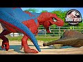 Spiderman T-REX vs JOKER I-REX, VENOM Carnotaurus, HULK Dinosaurs Fight 🌍 JURASSIC WORLD EVOLUTION