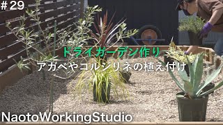 【ドライガーデン作り】アガベ、コルジリネや100均サボテンなどの植え付け編《庭づくりDIY＃29》