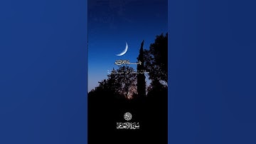 فَقُلْ سَلَامٌ عَلَيْكُمْ ۖ كَتَبَ رَبُّكُمْ عَلَىٰ نَفْسِهِ الرَّحْمَةَ ۖ  ❤️🫀 - سورة الأنعام